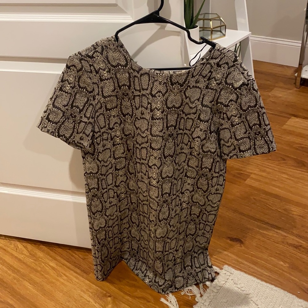 Zara snake skin dress